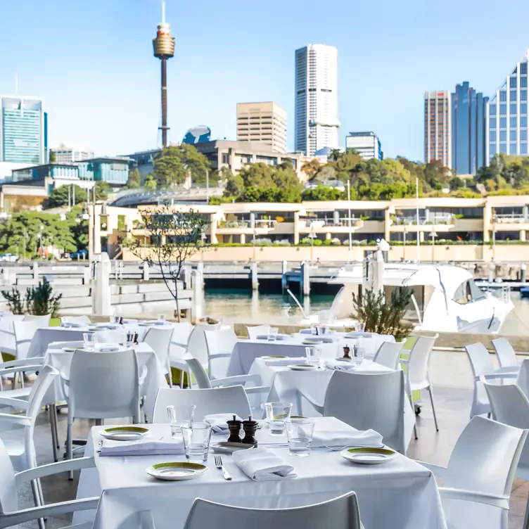 A waterside outdoor setting at OTTO, a restaurant in Sydney