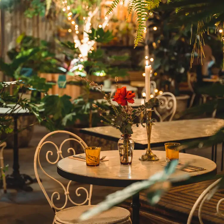 A courtyard filled with plants and fairy lights at The Potting Shed, one of the best outdoor restaurants in Sydney