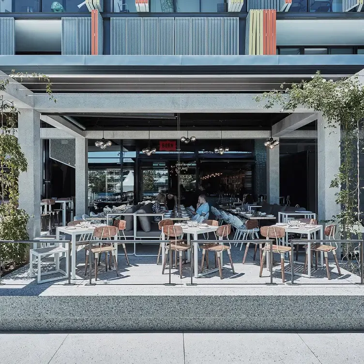 The sunny outdoor terrace at BORN by Tapavino, one of the best outdoor restaurants in Sydney