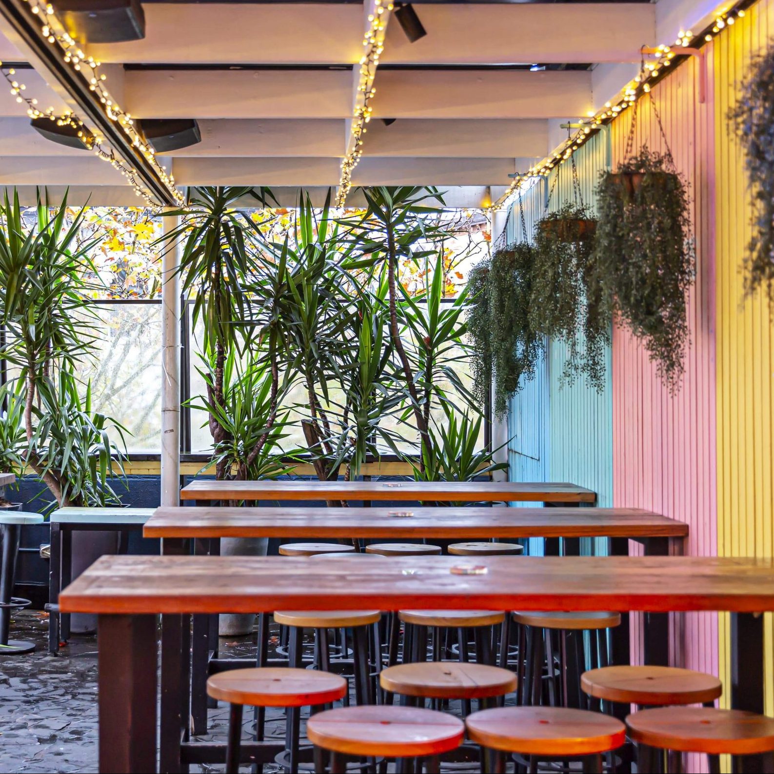 Colourful interiors with plants at Sweethearts Rooftop, Sydney