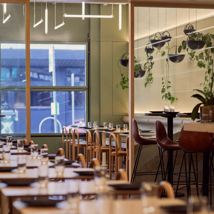 The interior of Eazy Peazy, with wooden tables and chairs and plants hanging on one wall.