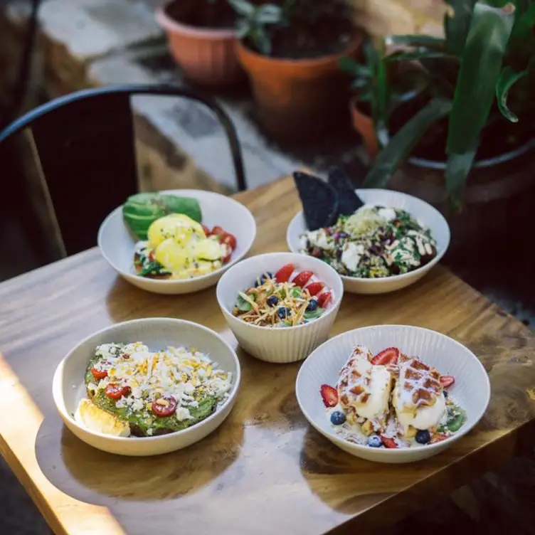 A spread of Middle Eastern-inspired brunch dishes at Shenkin Enmore in Sydney