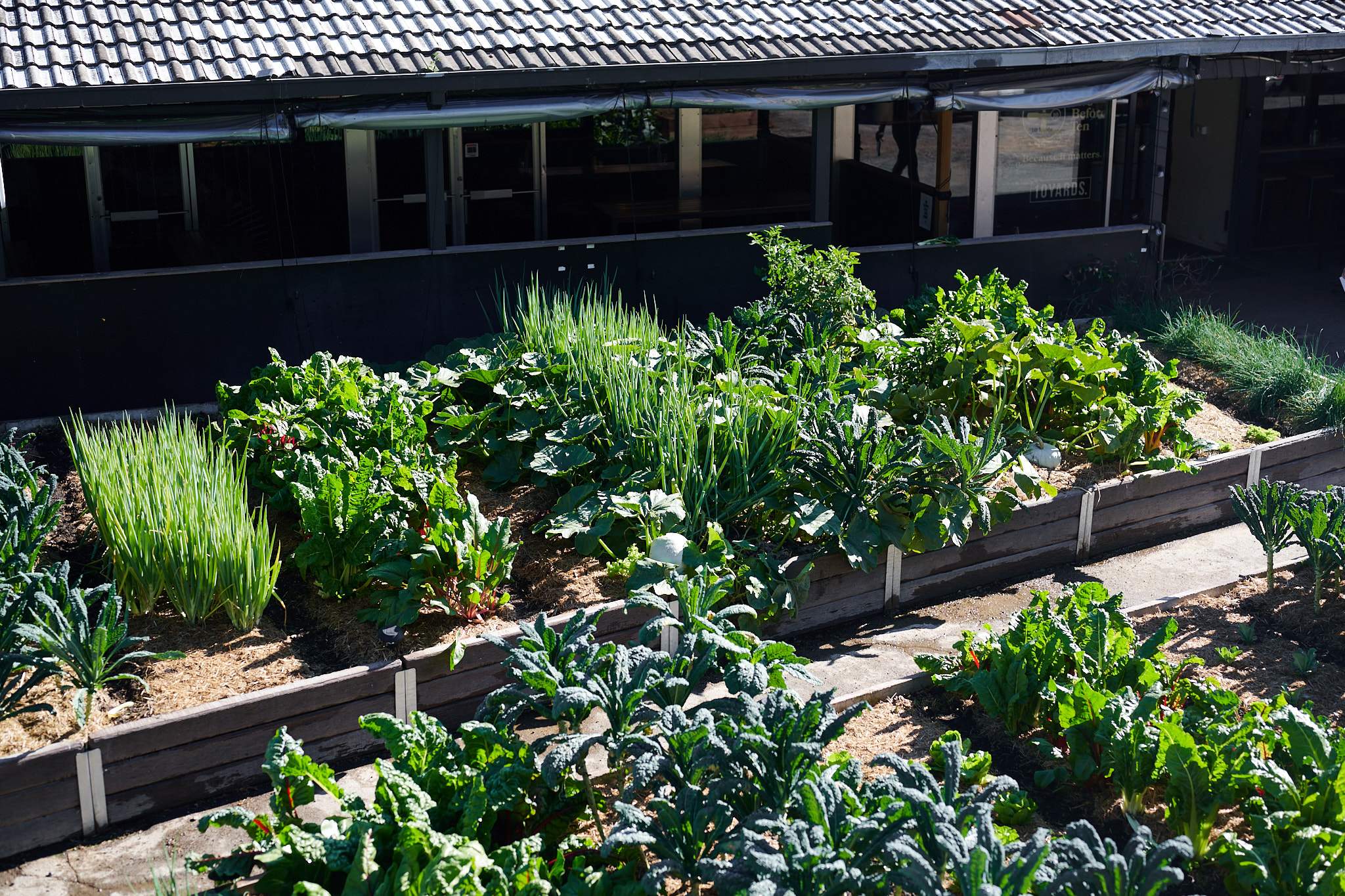 Outdoor herb gardens in planting boxes at Canberra cafe Two Before Ten’s Aranda campus.