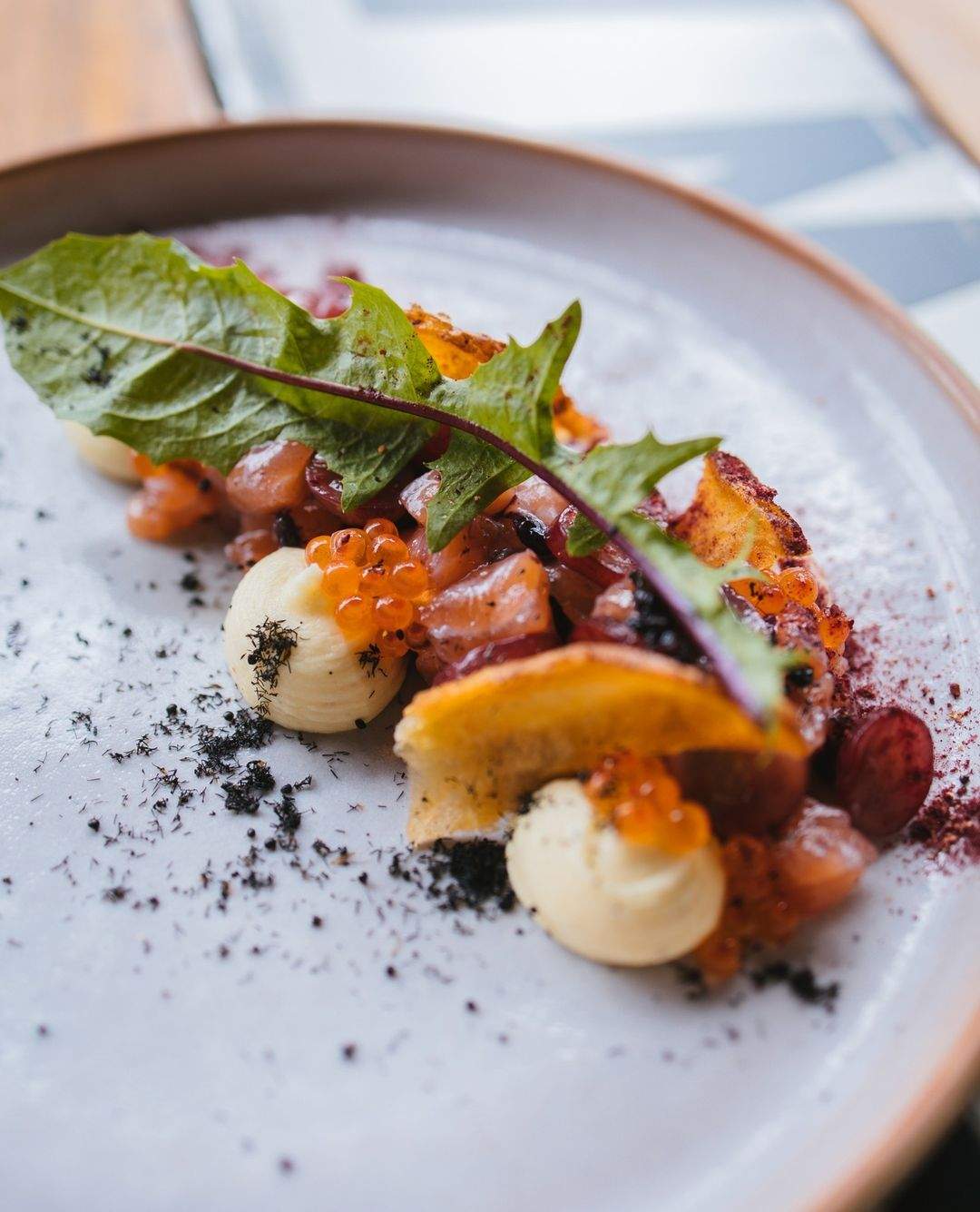 A dish featuring cured Atlantic salmon with blackberries, balsamic, and black ants at Detour in Woolloongabba