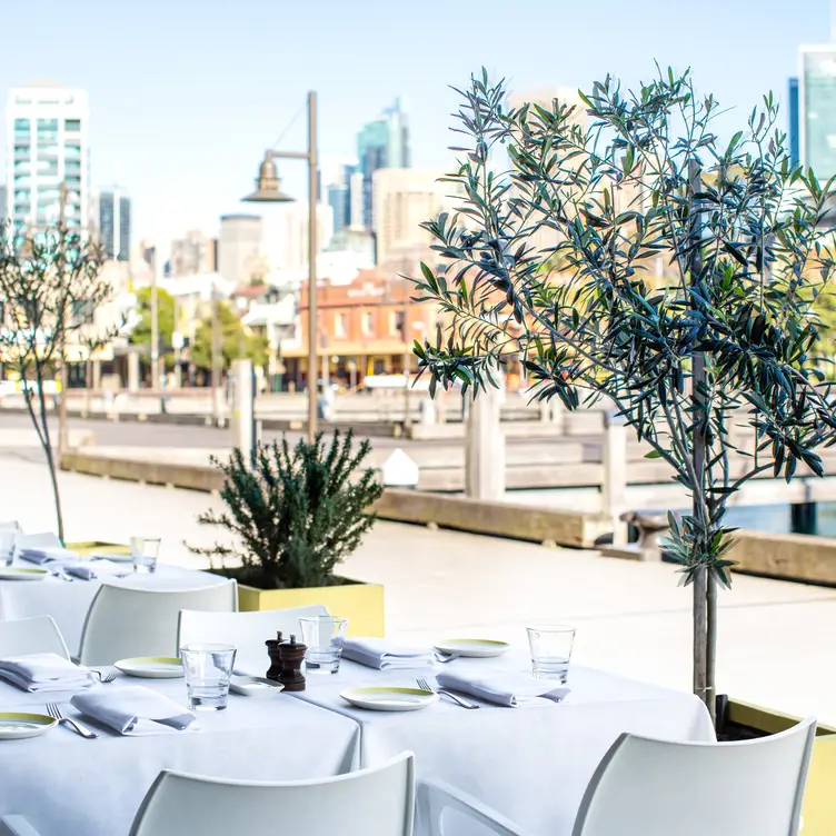 The outdoor dining setting at OTTO Sydney, one of the best vegan