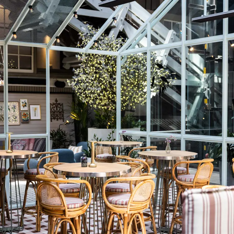 The modern and cosy interiors at Alibi Bar & Dining, one of the best vegan restaurants in Sydney