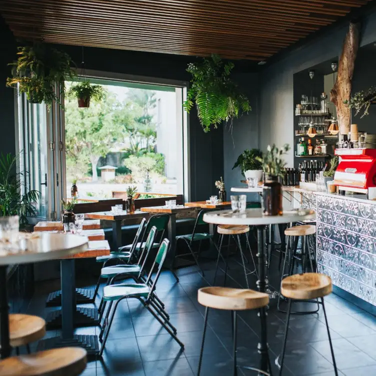 The interior of Greenhouse Canteen and Bar, one of the best vegan restaurants on the Gold Coast, showing plants in pots hanging from the ceiling.