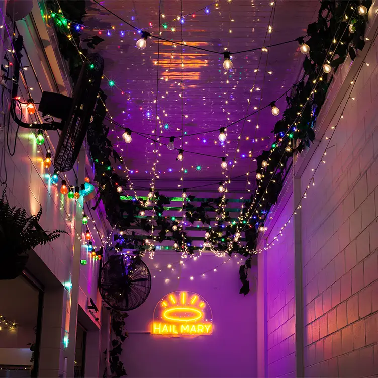 The ceiling of Hail Mary, one of the best vegan restaurants on the Gold Coast, lined with leaves and string lights.