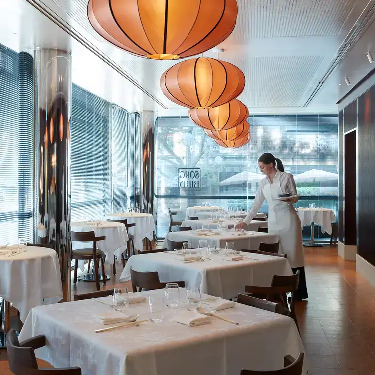 A waitress is setting a table in a dining room at Song Bird, one of the best fine dining restaurants in Sydney