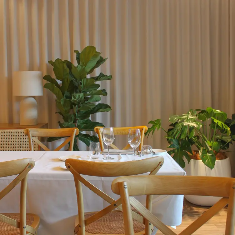 A table with a white cloth and pale wooden chairs set for dinner surrounded by potted plants at Gambaro Seafood Restaurant.