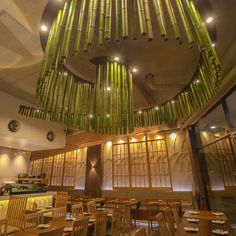 Fake bamboo shoots hanging from the ceiling of Kokoroya, one of Sydney’s best Japanese restaurants.