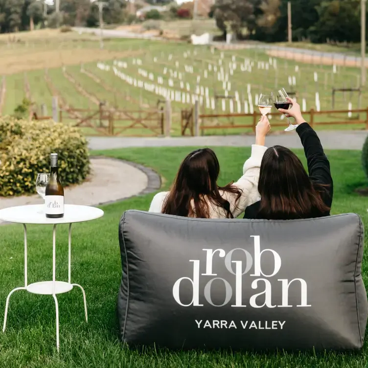 Two people sit in a beanbag and cheers glasses of wine while facing the vineyards at Rob Dolan Wines, one of the best wineries in Victoria.