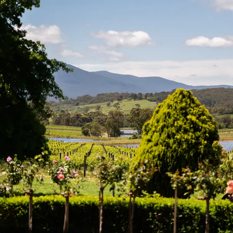 The vineyards of Tokar Estate Cellar Door, one of the best winery restaurants in Victoria, with flowers in the foreground and rolling hills in the background.