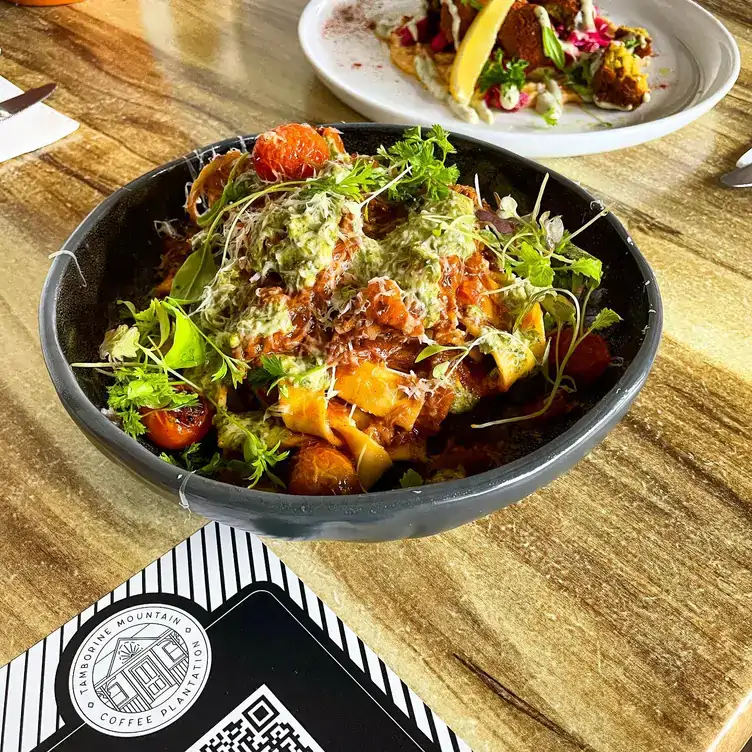 A pasta dish topped with herbs and tomatoes at Tamborine Mountain Coffee Plantation, one of the best brunch places on the Gold Coast.