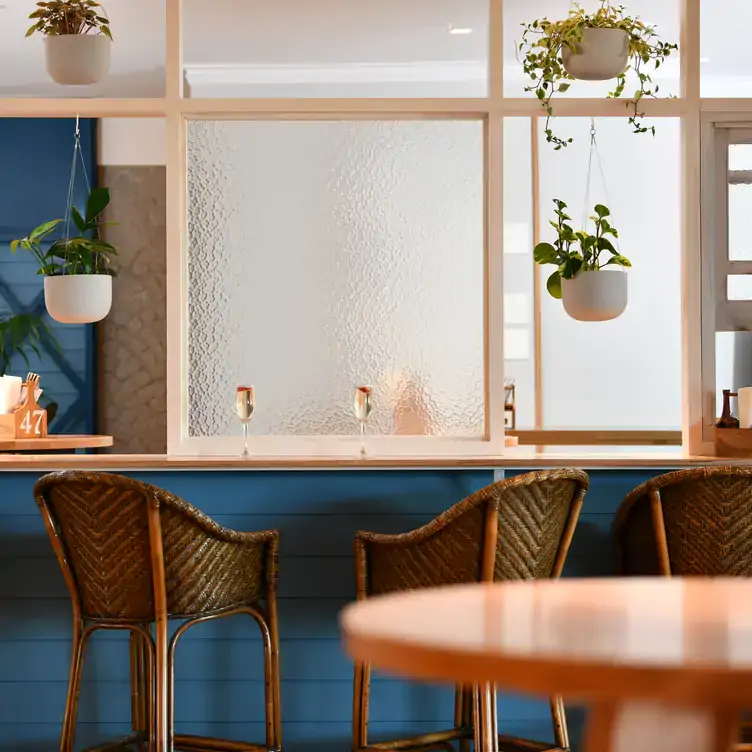 The indoor ‘The Treehouse’ dining space of Full Moon Hotel showing chairs lined up in front of a blue-panelled counter.