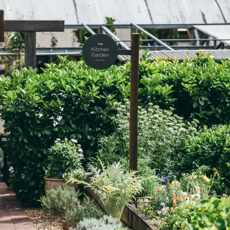 The potted plants and garden beds of Wild Canary’s kitchen garden.