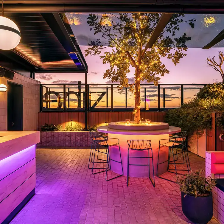 The rooftop dining area at Above 319, showing chairs around a circular table with a tree growing out the centre and the view out towards the sky.