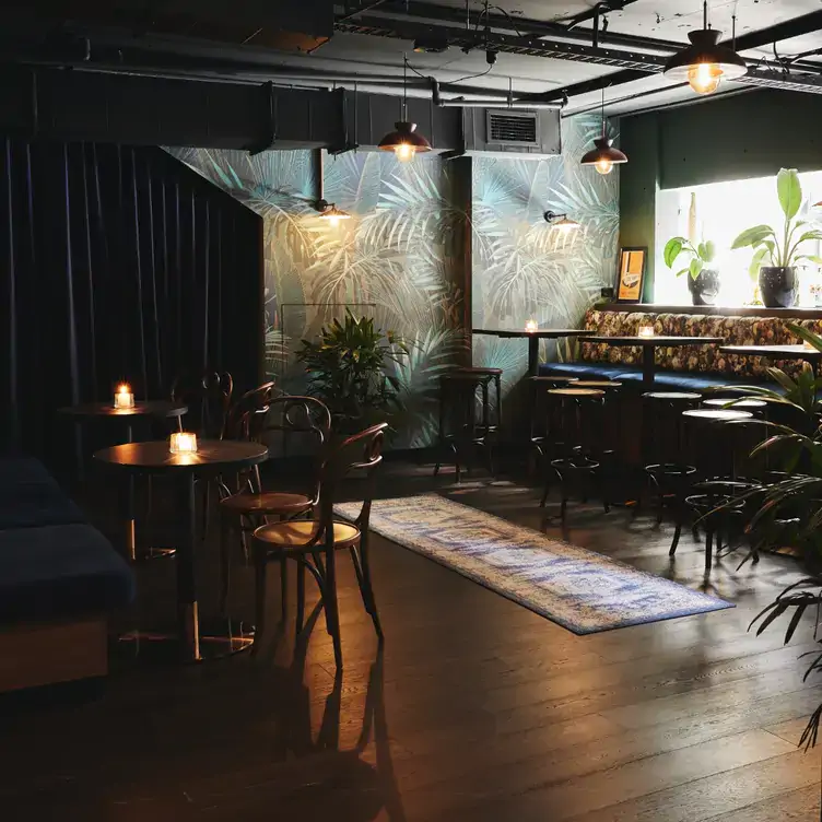 The dimly lit interior of Now & Then with leafy wallpaper, bench seating and wooden floors.