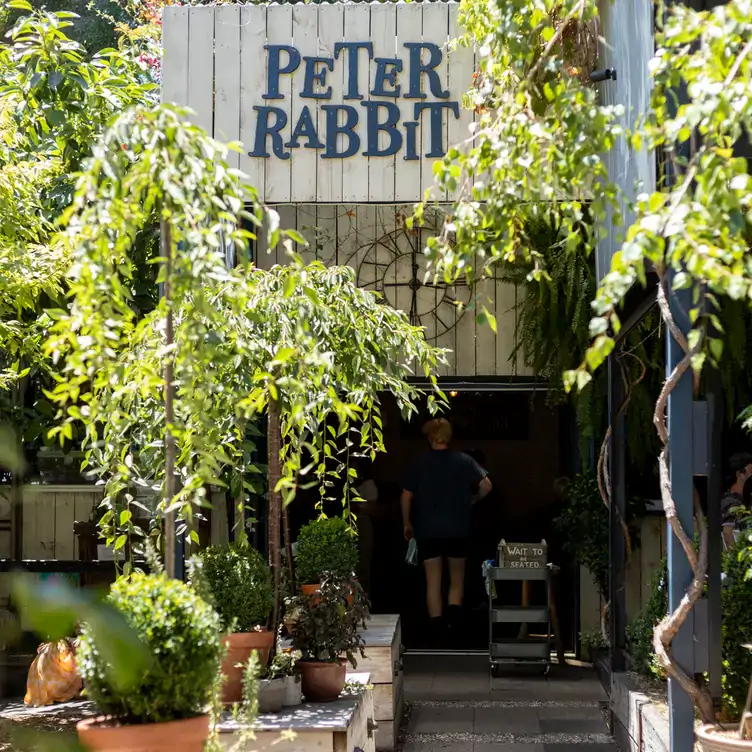 peter-rabbit1