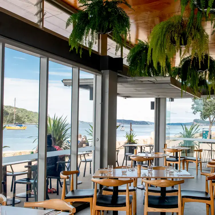 The interior of The BOX on the Water, showing hanging plants, wooden tables and floor-to-ceiling windows with a view towards the ocean right outside.